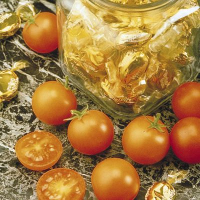 Tomato Sun Sugar