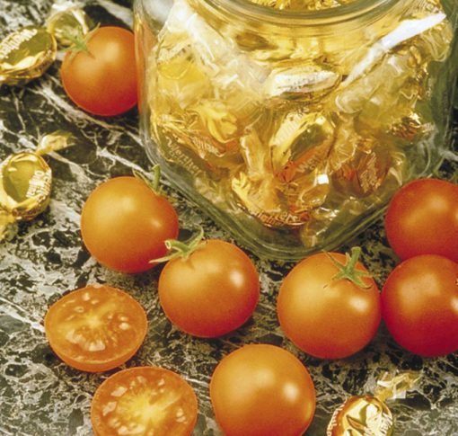 Tomato Sun Sugar