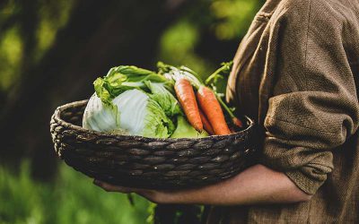 The Purpose Driven Gardener