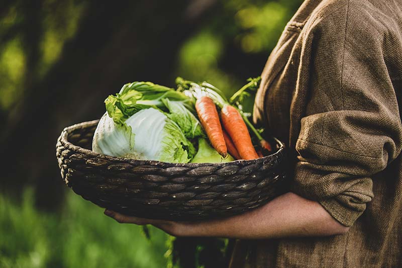 holding a basket of vegetables in a garden