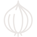 vegetable icon onion vegetable icon